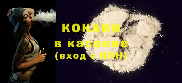 шишки Алексин