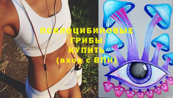 ECSTASY Аркадак