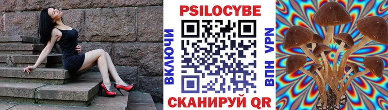дарк нет Telegram  Усолье-Сибирское  Псилоцибиновые грибы Magic Shrooms 